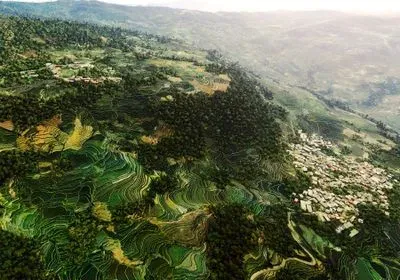 Yunnan province, China, bats, bat, COVID-19, SARS-CoV-2, SARS-CoV-1, infectious disease, pandemic, coronavirus, climate change, modeling, 